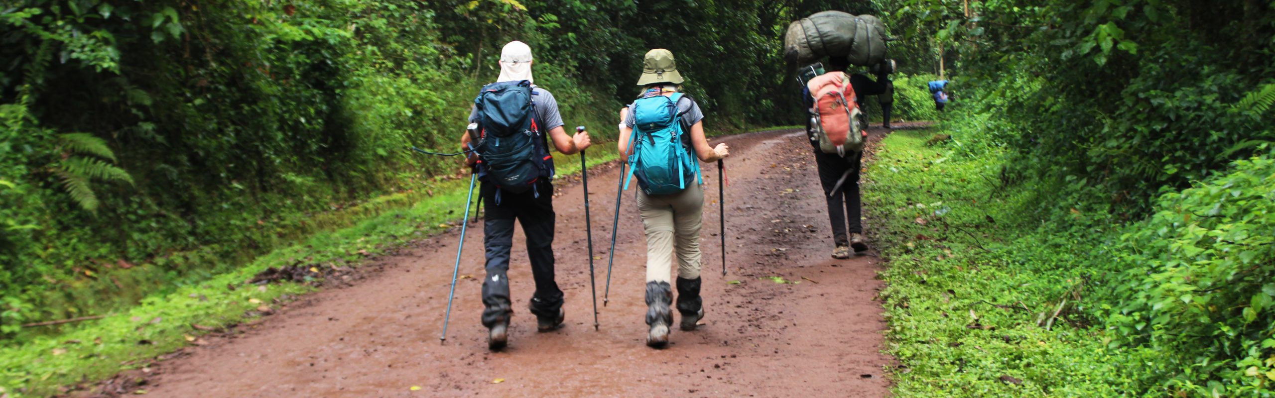 Northern Circuit descent route showing climbers leaving Uhuru Peak toward lower camps and Mweka Gate.