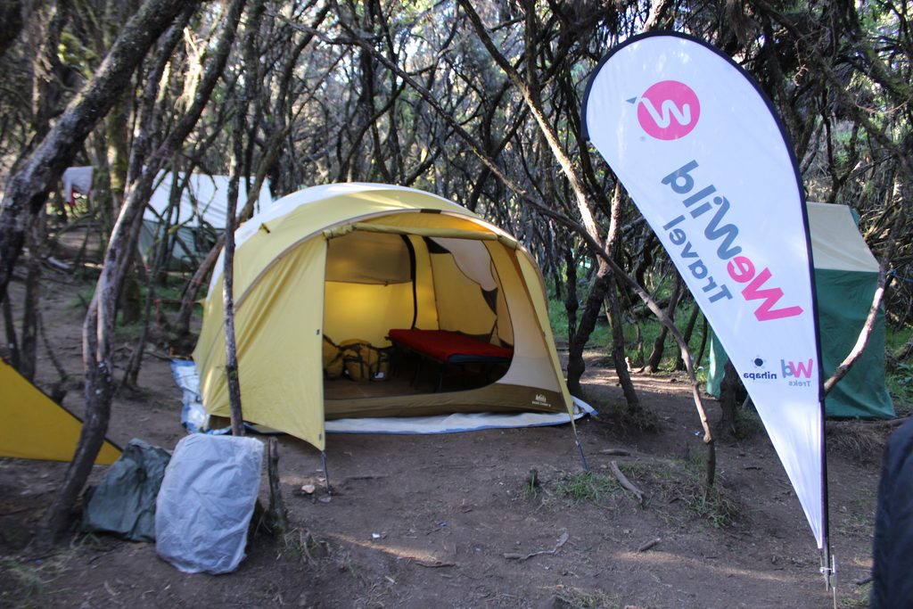 Kilimanjaro Mweka Camp compared with Annapurna accommodation during high-altitude trekking adventures.