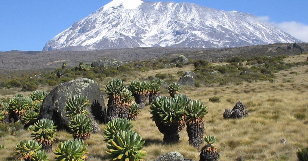 Kilimanjaro National Park landscape showing mountain terrain and scenic trekking environment in Tanzania.
