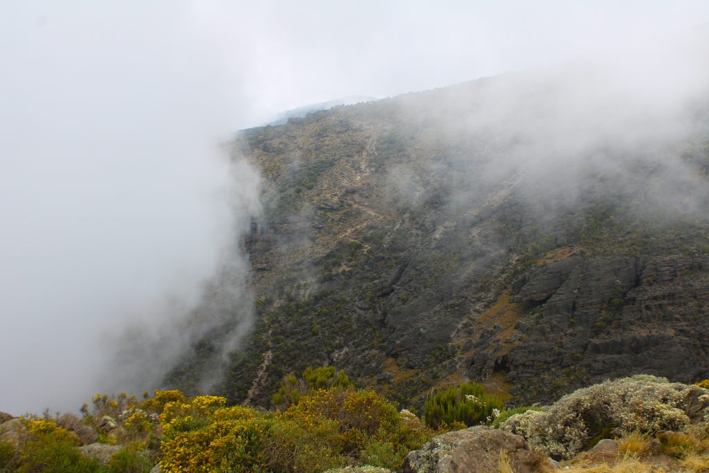 Scenic view of Mount Kilimanjaro after a successful climb in Tanzania