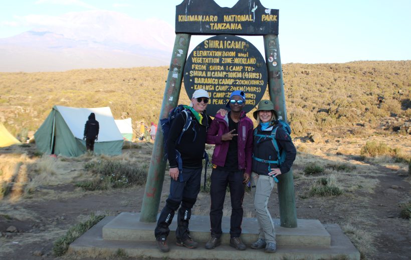 7 Days Shira Route Kilimanjaro: Luxury Climb Itinerary
