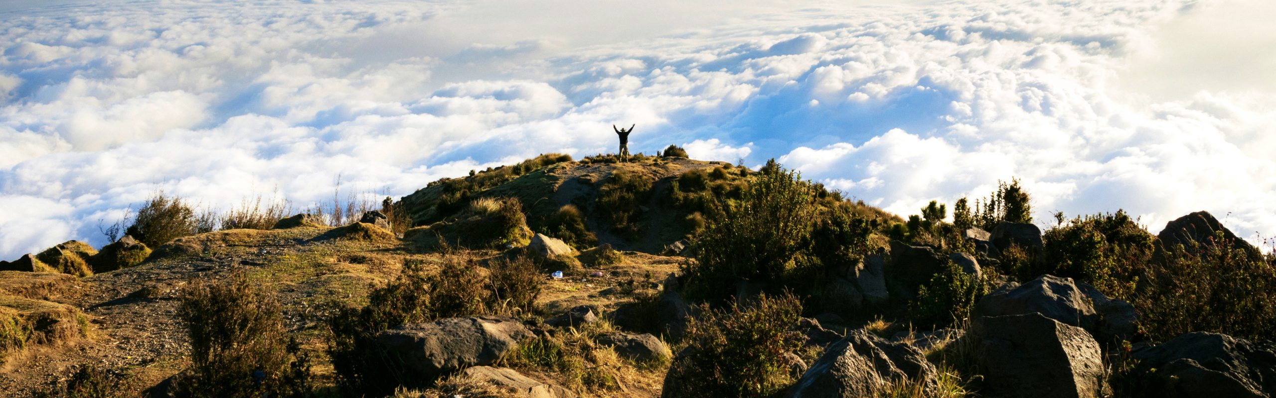 Five-day Umbwe Route trek showing the journey from Umbwe Gate to Mweka Gate.