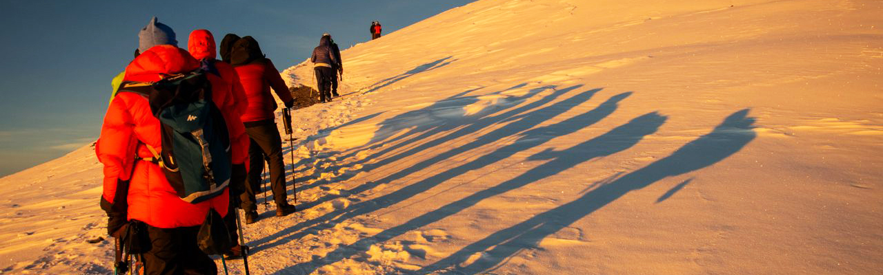 Hikers exploring the scenic Shira Route with beautiful Mount Kilimanjaro views