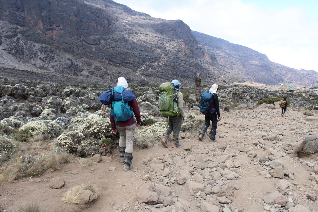 Scenic view of Mount Kilimanjaro and the surrounding Tanzanian landscape