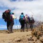 kilimanjaro-rongai-route-7-days-1